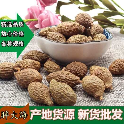 亳州胖大海批发大海中药材大海子