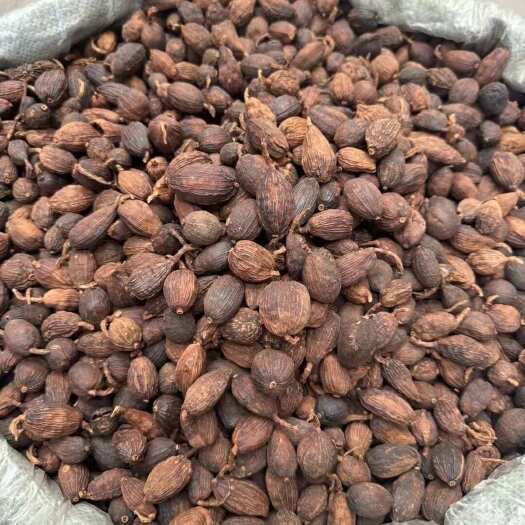 玉林批发草果短把大个头草果量大价优火锅料卤料香辛料八角茴香产地