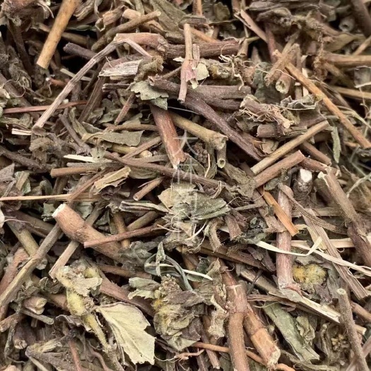 玉林大货供应｛飞扬草｝可批量可零售量大从优【包邮】