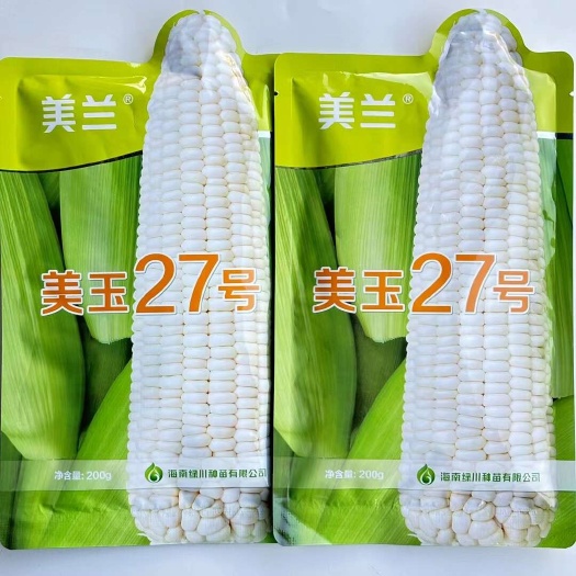 宿迁美玉27号糯玉米种子国审鲜食白色甜糯玉米种子适合全国种植