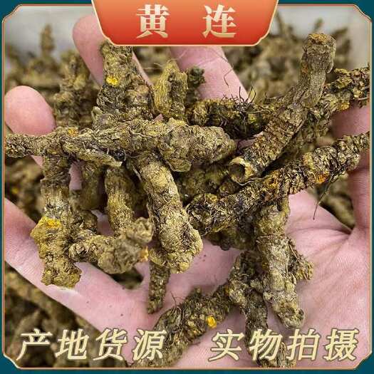 成都【四川产地发货】四川黄连无硫川黄连切片黄连个多规格可选包邮