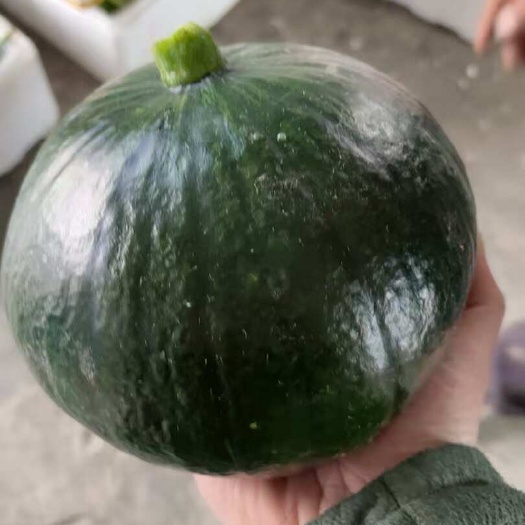 嘉善县贝贝南瓜