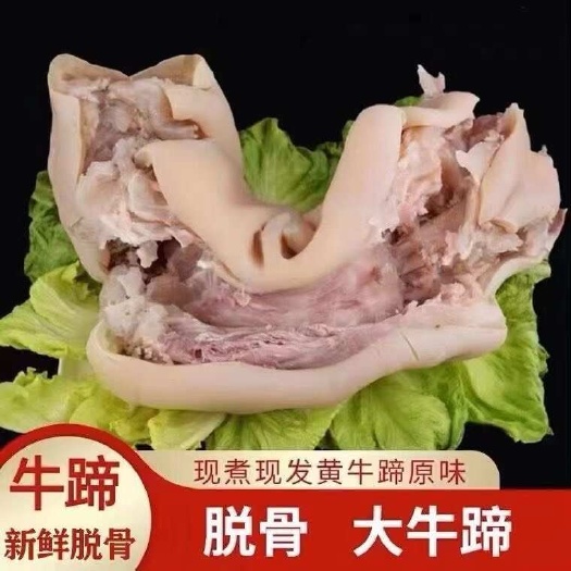 火烧去毛去骨牛蹄 整只熟黄牛蹄筋脱骨牛脚真空包装