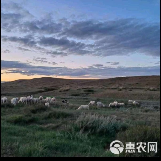 科右中旗山地