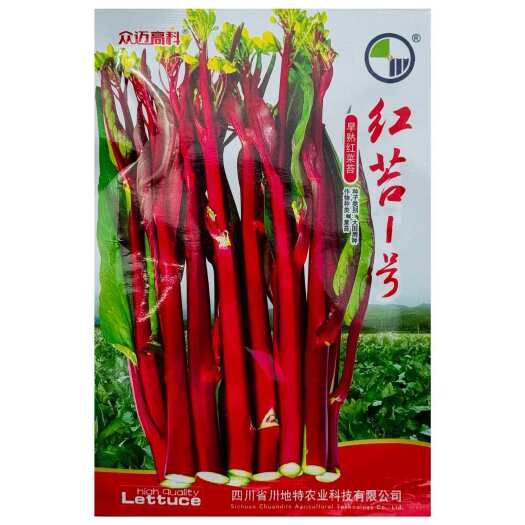 沭阳县红苔2号大棒型紫红油亮菜苔种子中早熟耐热耐寒丰产抗病大田用种