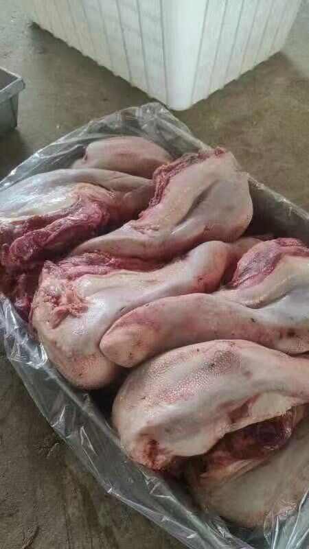 宁陵县鲜牛舌