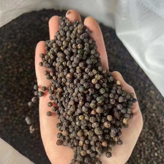 玉林批发黑胡椒原包货饱满干净100斤/件牛排伴侣量大价优八角茴香