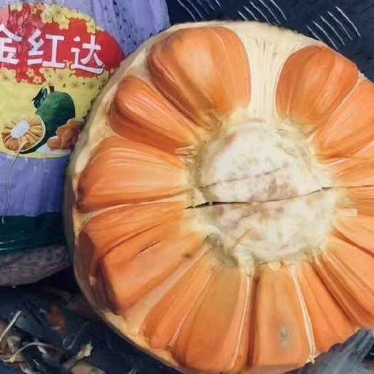 嘉兴新鲜菠萝蜜 各种规格