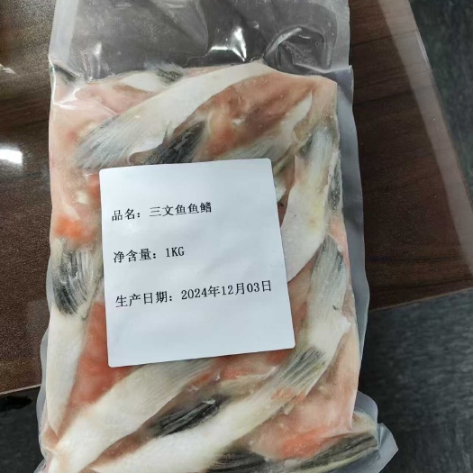 青岛三文鱼鳍