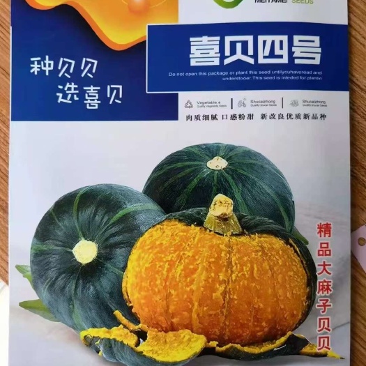 宿迁喜贝四号贝贝南瓜种子 早中熟迷你型贝贝南瓜种子大田基地播种
