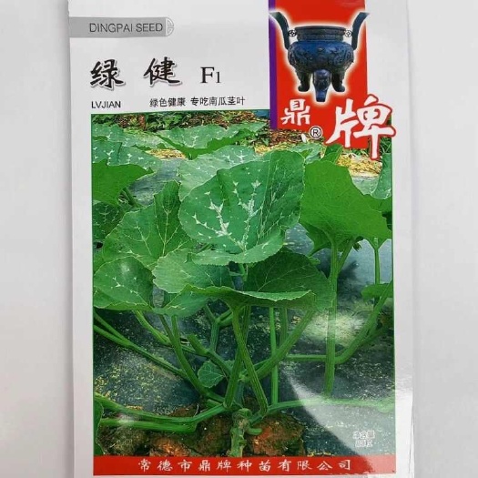 长沙绿健南瓜尖南瓜种子，10克，80粒左右