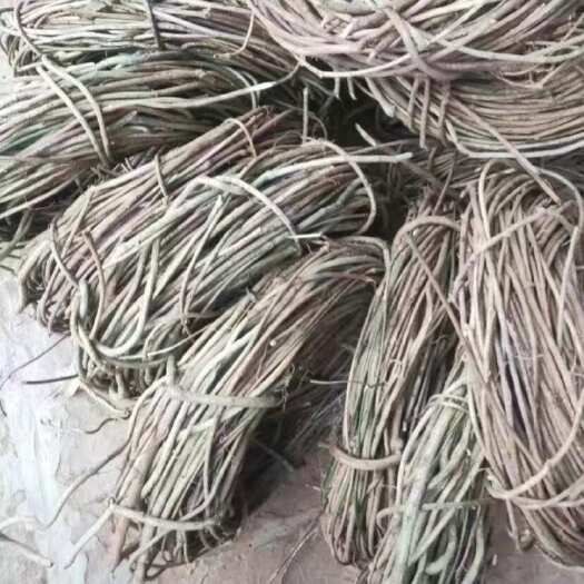 封开县土茯苓藤，金刚藤圆圈，花圈批发，圣诞花圈订购