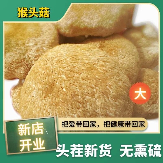 古田县供应素食食材酒店食材高山猴头菇