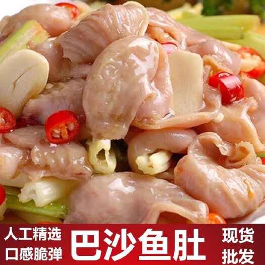 南京新鲜冷冻鱼肚巴沙鱼鳔鱼杂鱼肚鱼胶酒店花胶商用供应鱼泡火锅食材