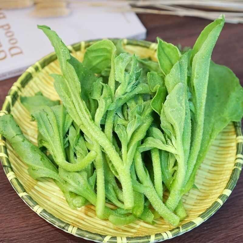 新鲜冰菜 冰草 火锅生吃凉拌 沙拉菜