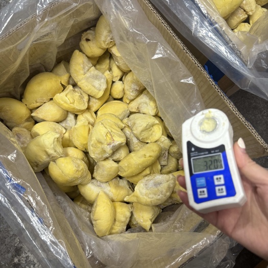 广州金枕果肉金枕肉榴莲肉产地直销一手货源长期供应