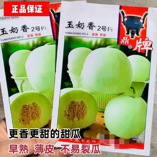 玉奶香2号甜瓜种子，400粒，超甜