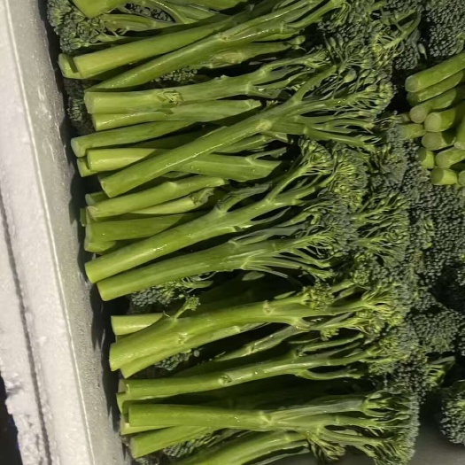 澳洲甜杆西兰苔 芦笋甜杆可生食碳烤甜芦笋