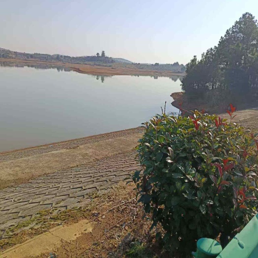 衡阳湖南衡阳地区   水库  村集体资源出租