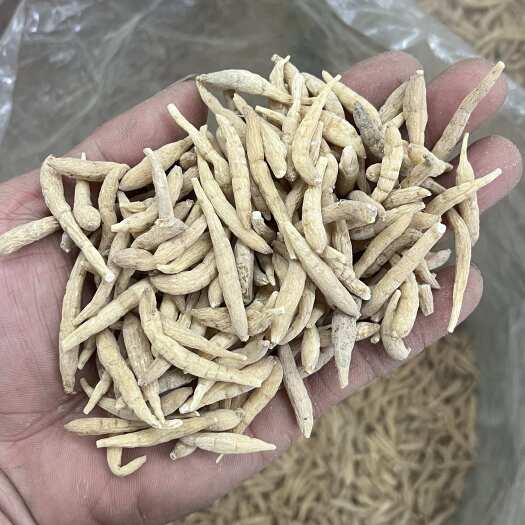东莞市太子参中药材 广东东莞新鲜直发 快速物流专线配送