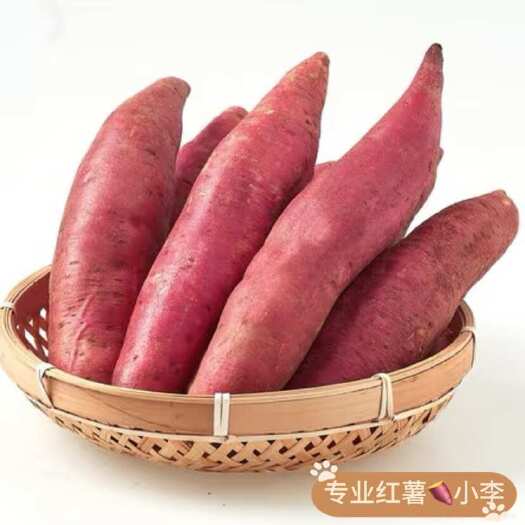 遂溪县广东鲜红薯，大量上市，品质优，品种齐全，产地一手货源，产量大