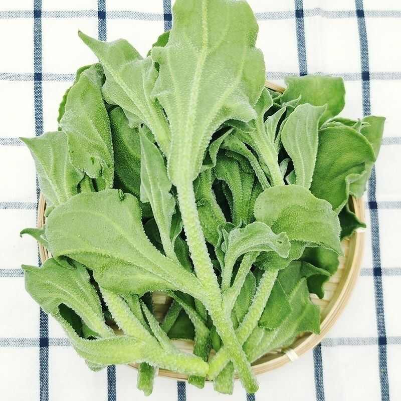 新鲜冰菜 冰草 火锅生吃凉拌 沙拉菜