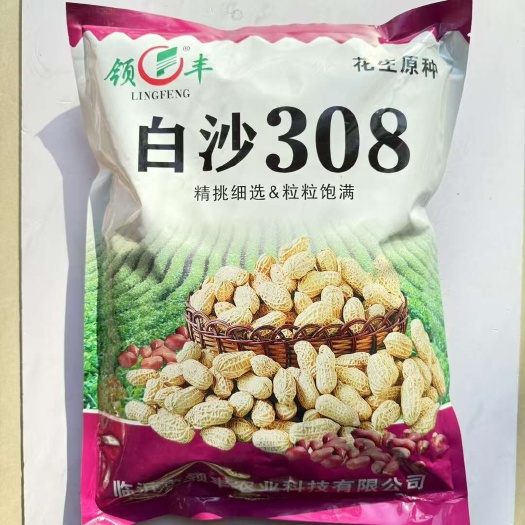 宿迁白沙308早熟花生种子花育9616花生种子 临花17花生种子