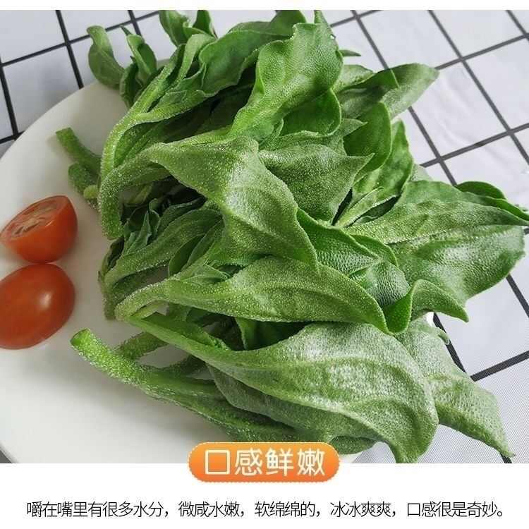新鲜冰菜 冰草 火锅生吃凉拌 沙拉菜