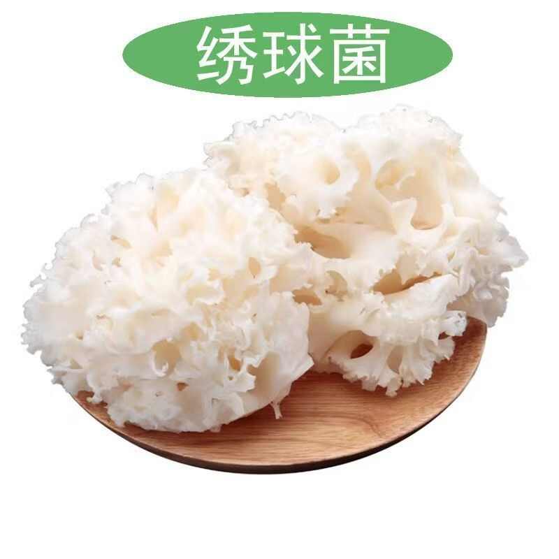 新鲜绣球菌  优质蔬菜食用菌 批发零售