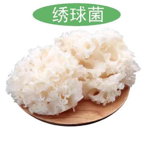 广州新鲜绣球菌  优质蔬菜食用菌 批发零售