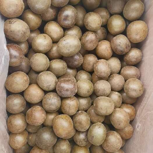 亳州中药材罗汉果  广西罗汉果 精品