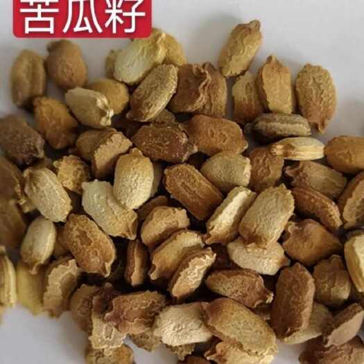 长沙湖南本地老品种大白苦瓜种子肉厚瘤大精选自留种自育种籽