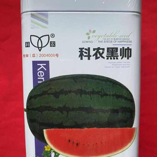 衡阳县科农黑帅西瓜种子椭圆形大果西瓜种子杂交灌装花皮西瓜种子
