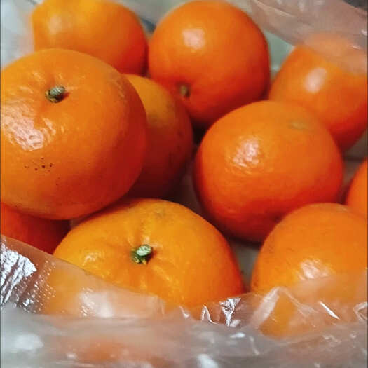 昆明广西柑橘，果肉多汁，鲜甜可口，欢迎老板选购.