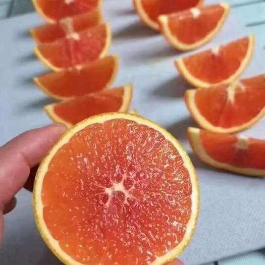秭归县宜昌秭归新鲜脐橙  现摘现发