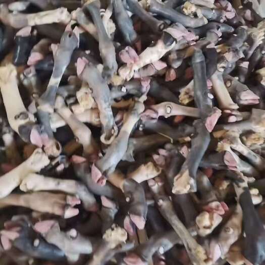 纯育肥花羊蹄