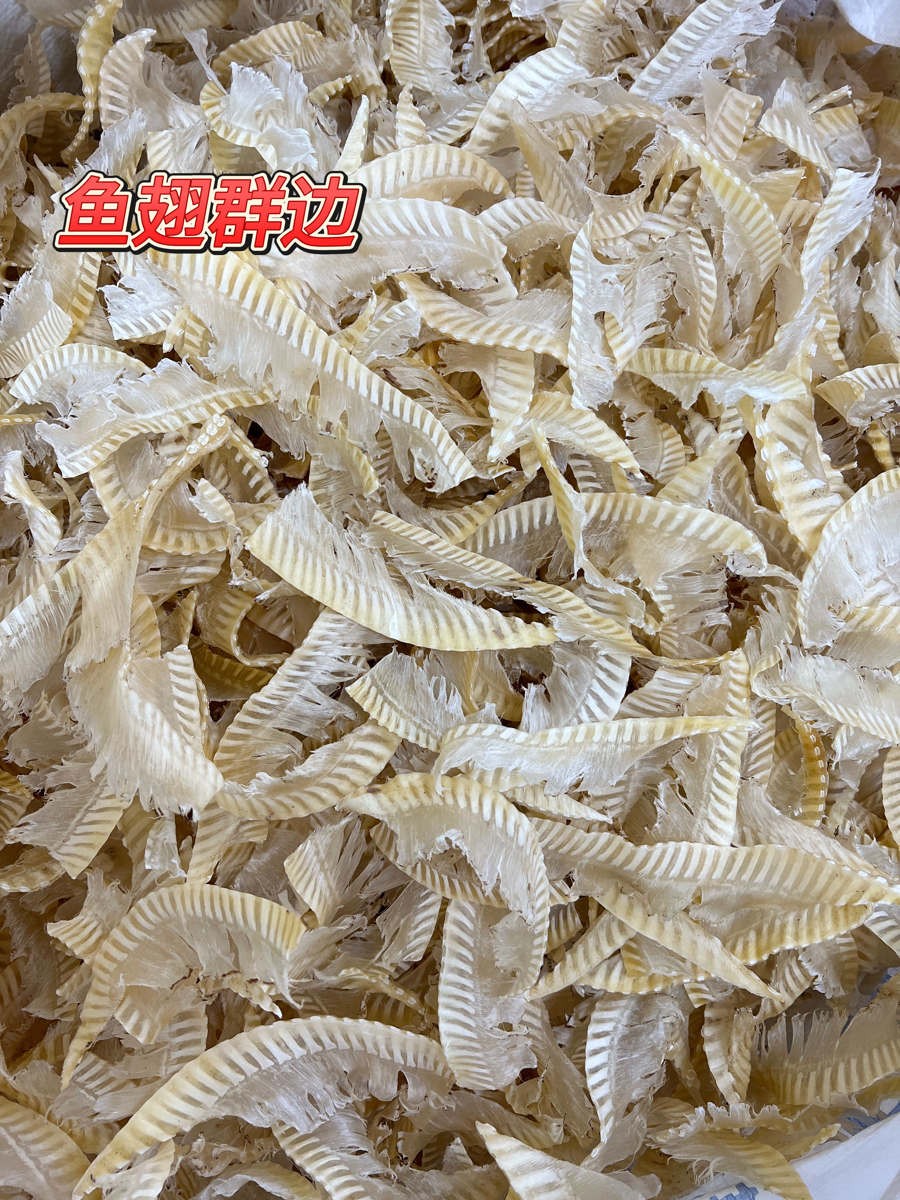广州鱼翅群边，鱼唇嘴边足干清水鱼翅批发
