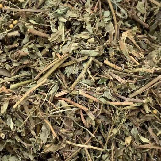 玉林长期供应｛叶下珠珍珠草｝可批量可零售量大从优【包邮】