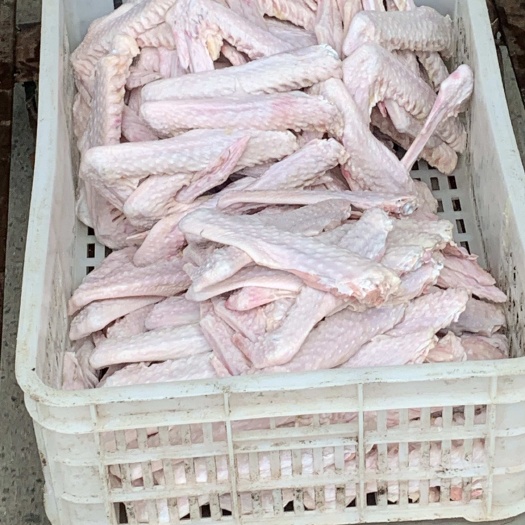 霍邱县鹅掌鹅翅 鹅副产品
