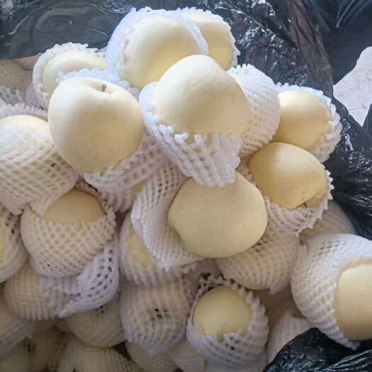 辽南精品黄元帅苹果，个大干净白，口感脆甜