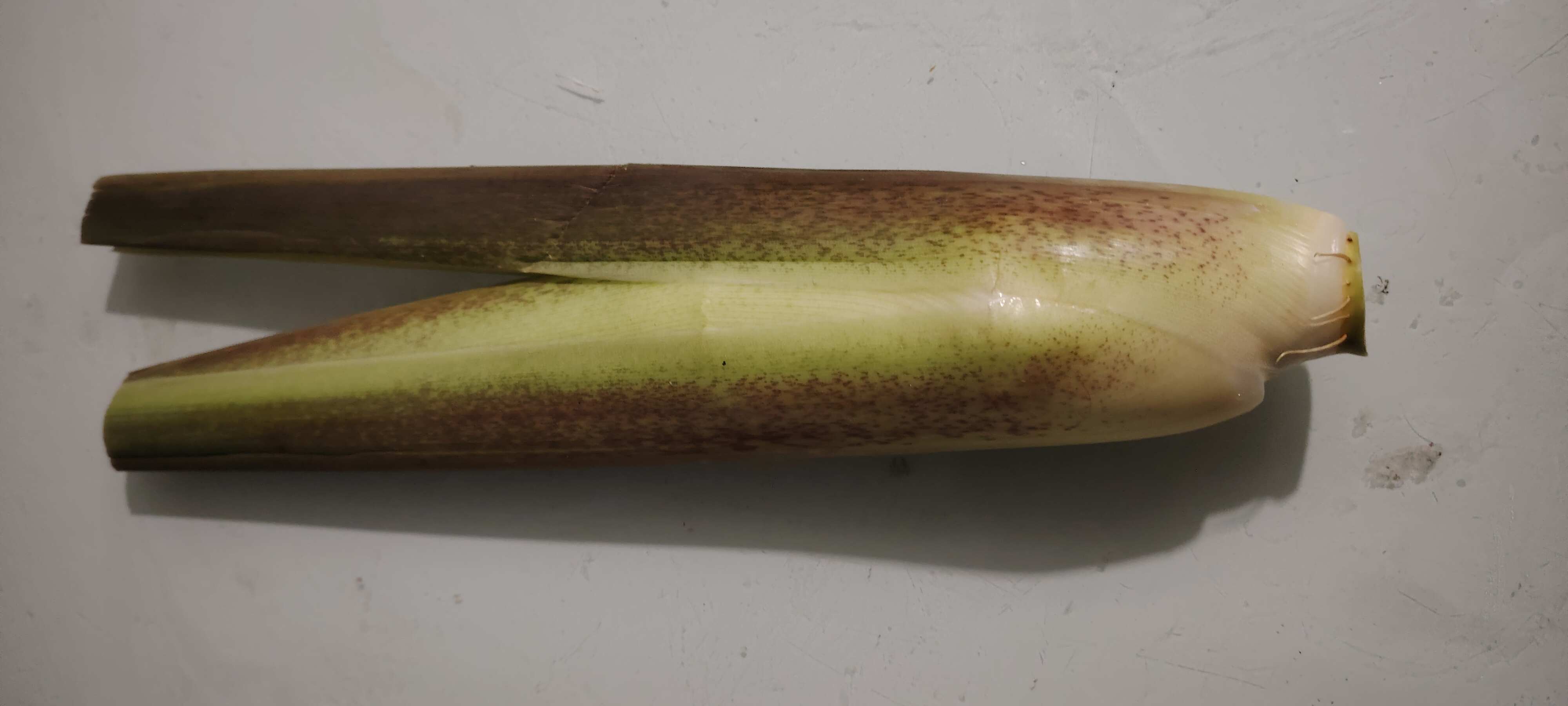 优质双季茭白茭瓜高笋