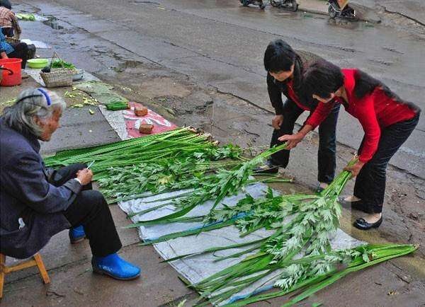 沁水县菖蒲