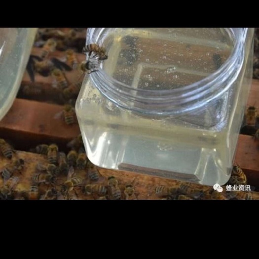芦溪县从事蜂蜜养殖多年