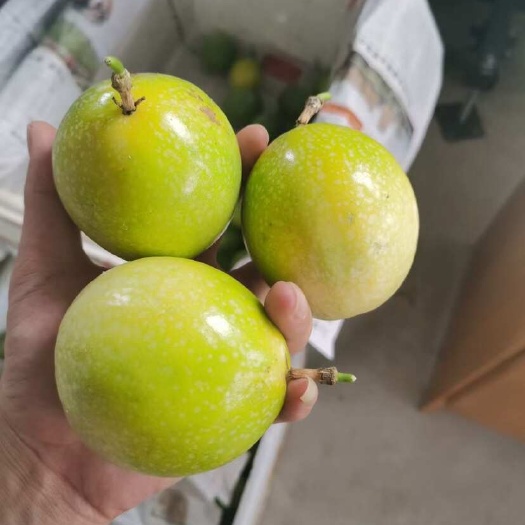乐东县海南百香果，钦蜜九号，各种规格货