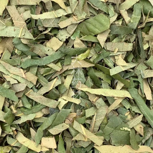 长期供应｛枇杷叶｝可批量可零售量大从优【包邮】