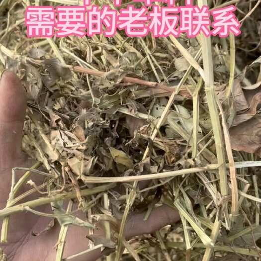 扶沟县牛羊马饲料花生秧草料 保质保量 无土无膜无霉变  常年供应。