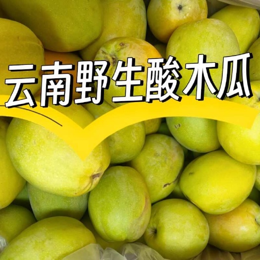 保山云南野生酸木瓜 生吃调味做菜