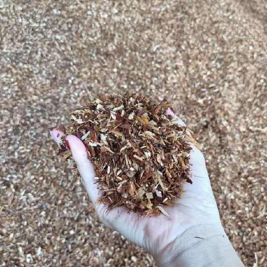 翁源县新一代兰科植料杉木屑纯杉树皮纯木屑兰花植料石斛兰科通用营养土