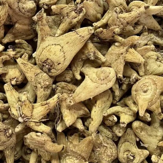 白芨个子  云南白芨 大货供应