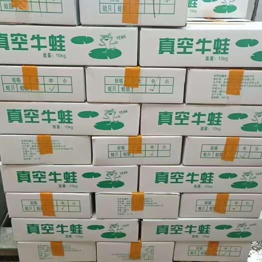 诏安县牛蛙冻蛙